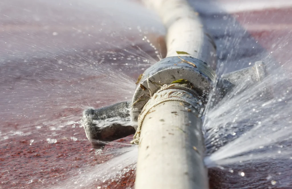 Benefits of Professional Water Leak Detection Services