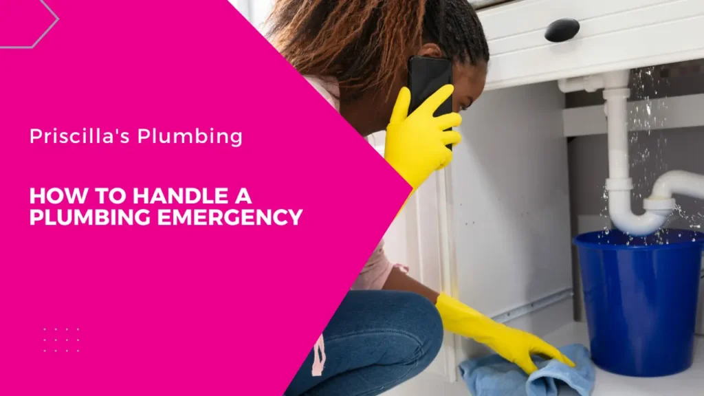 plumbing emergency