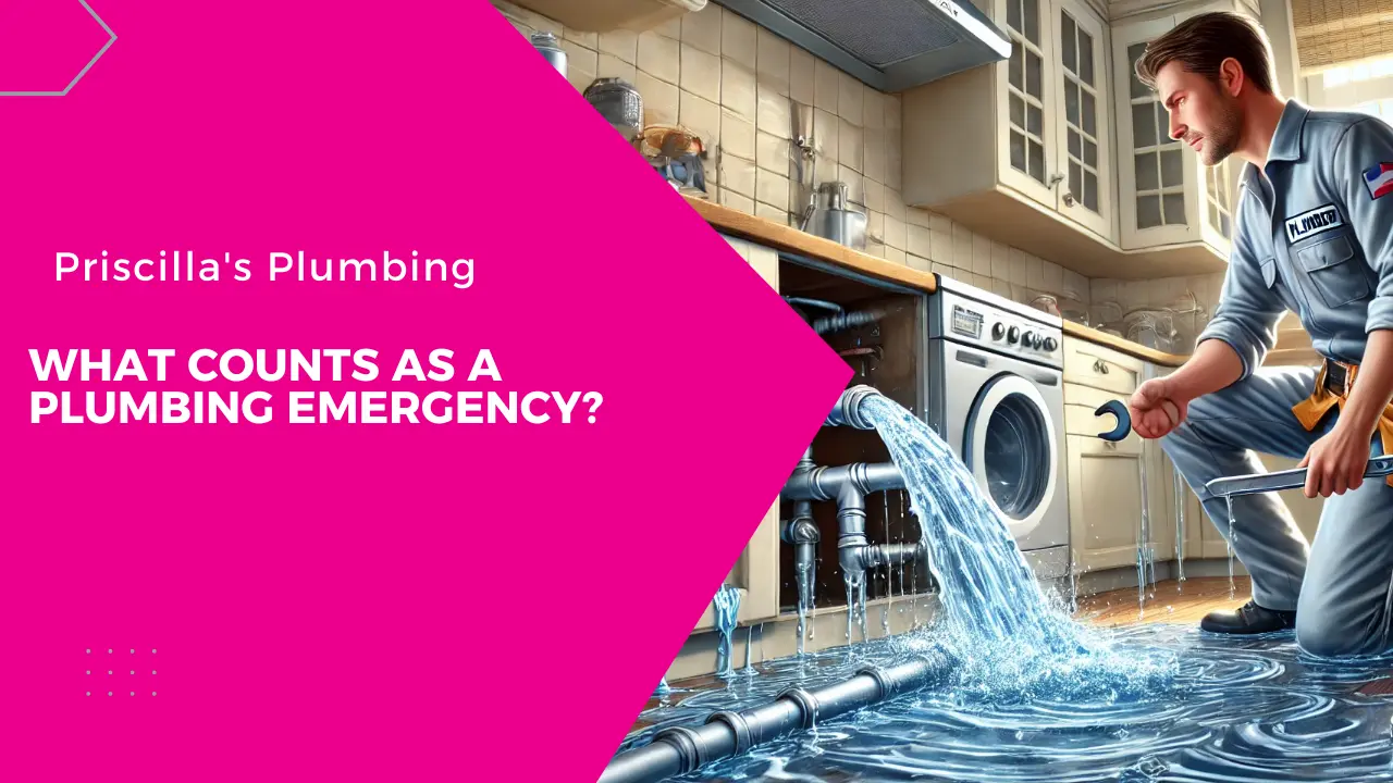 What counts as a “Plumbing Emergency?