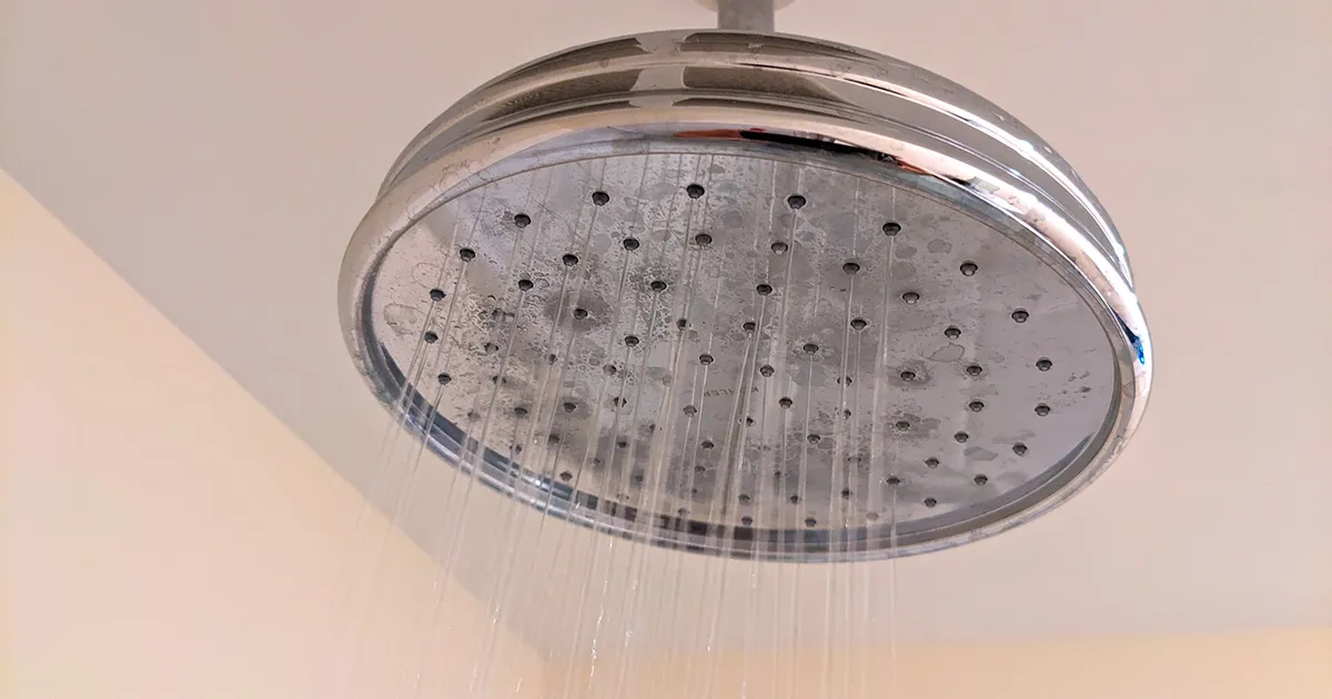 
A low-pressure showerhead with water barely trickling out.